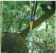 TREEPRO ��ȥ�С��ܡ��� 32mm 