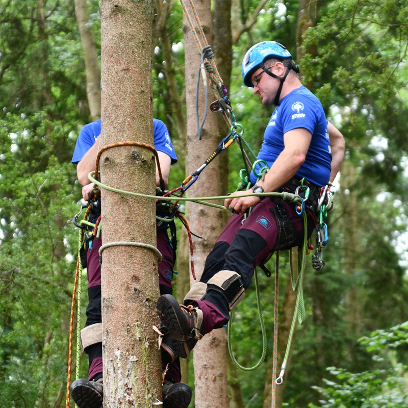 レスキュースリング Arborist Rescue Sling | TREE CLIMBING WORLD