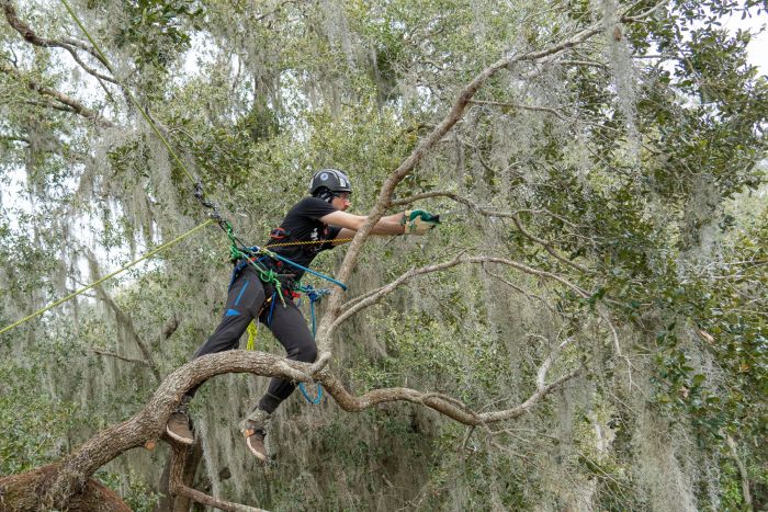 Teufelberger �ҥåץ��������饤�� 12.9mm 5�� / hipSTAR Glide 12.9mm 5m