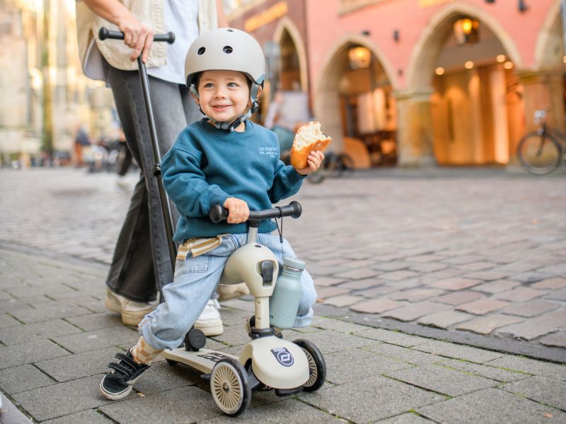 �������ȥ�åȡ���������&�饤�� �ϥ����������å��� �ץå���������ں�û����ȯ�����¿���2ǯ�ݾڡ�