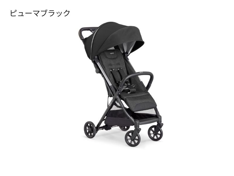 イングリッシーナ　クイッド イングリッシーナ クイッド3 ｜ CASARICH