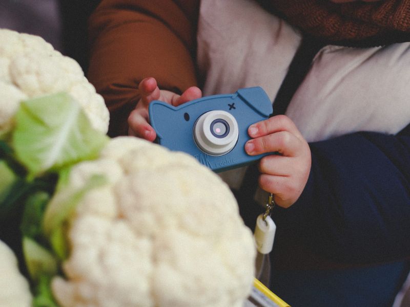 �ۥåץ����� �롼�����ں�û����ȯ�����¿���2ǯ�ݾڡ�