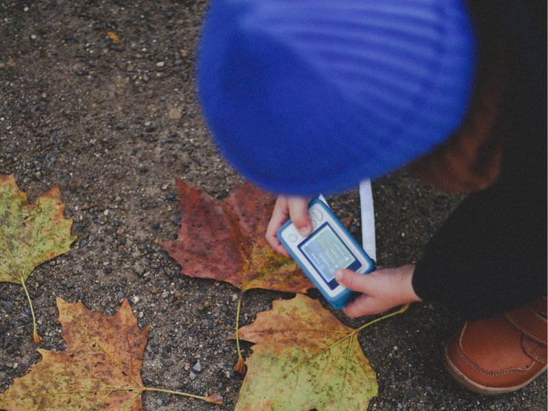 �ۥåץ����� �롼�����ں�û����ȯ�����¿���2ǯ�ݾڡ�