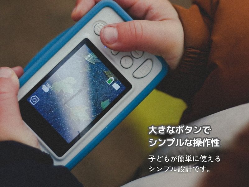 �ۥåץ����� �롼�����ں�û����ȯ�����¿���2ǯ�ݾڡ�