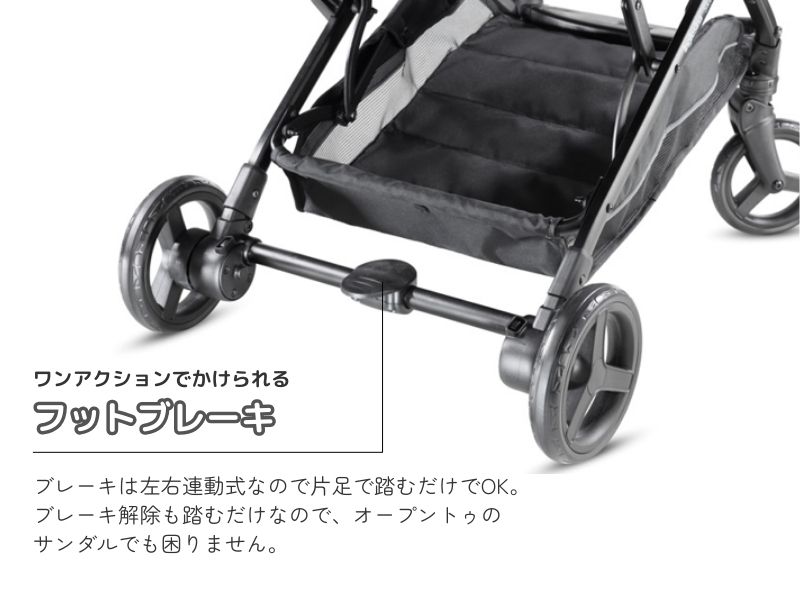 イングリッシーナ スケッチ【最短翌日発送・安心の3年保証