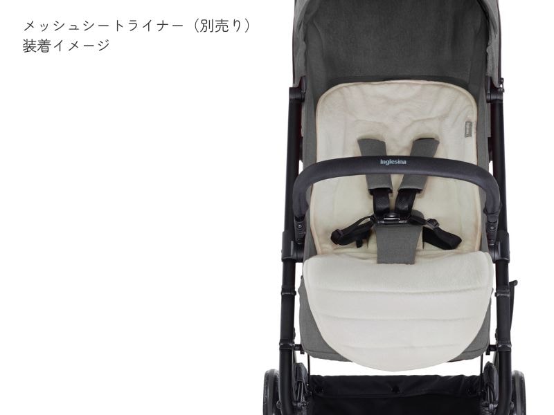 イングリッシーナ スケッチ【最短翌日発送・安心の3年保証