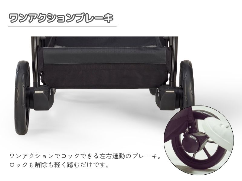 イングリッシーナ エレクタ【最短翌日発送・安心の3年保証
