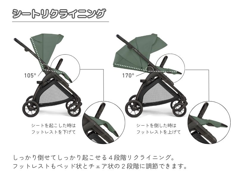 イングリッシーナ エレクタ【最短翌日発送・安心の3年保証