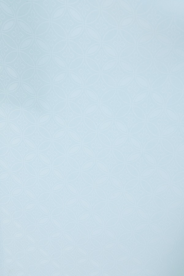 振袖 レンタル 成人式 フルセット 水色