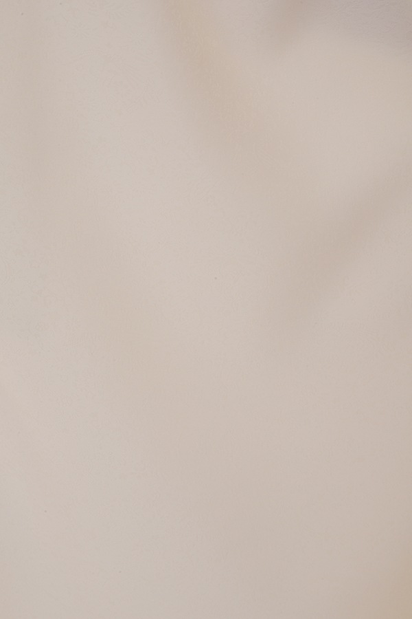 振袖 レンタル 成人式 フルセット 白