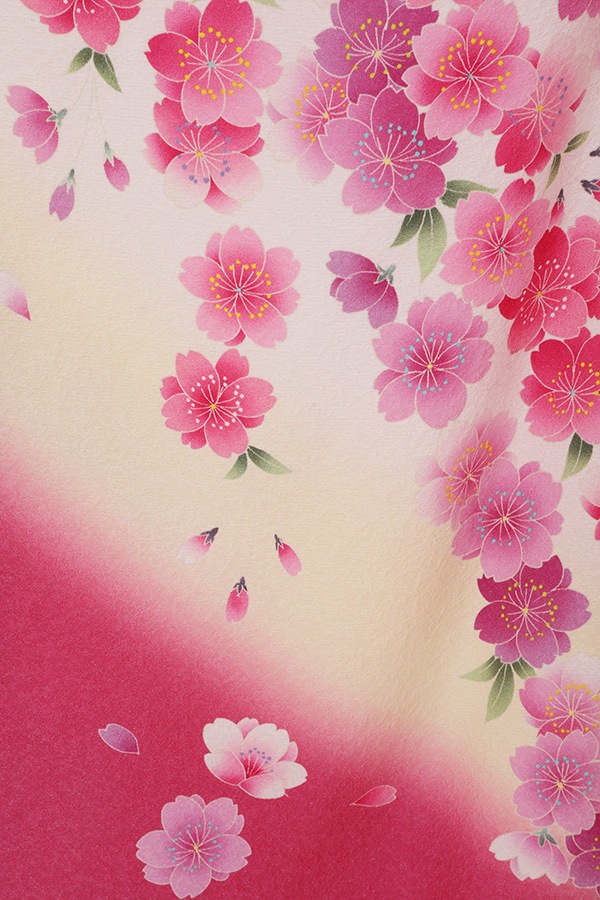 振袖 レンタル 成人式 フルセット 黒×ピンク