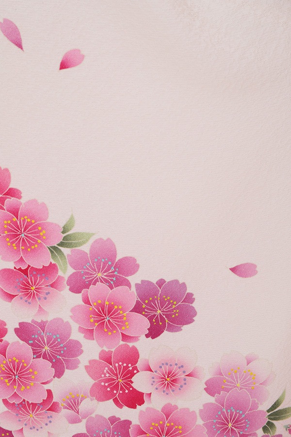 振袖 レンタル 成人式 フルセット 黒×ピンク