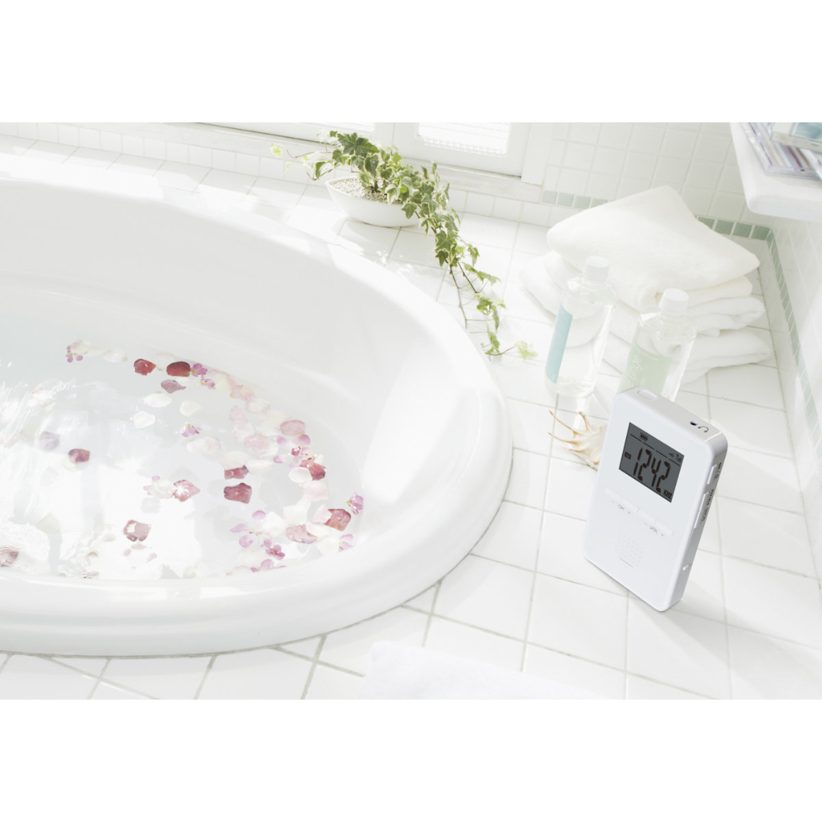 SH-GDRD-RB STAYER �ɿ彼�ż�AM / FM�饸��