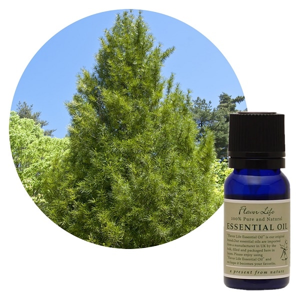 JAA SHOPのフレーバーライフ