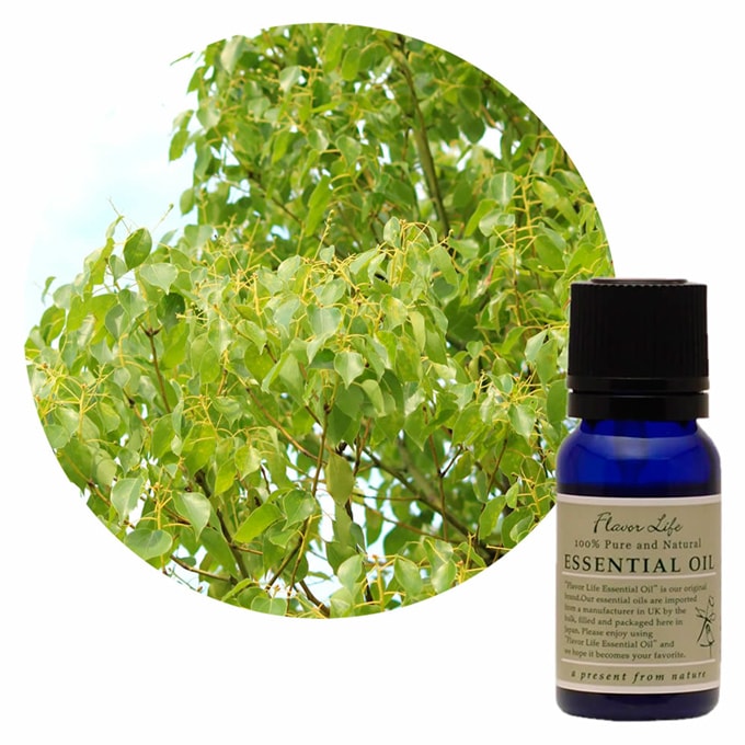 JAA SHOPのフレーバーライフ