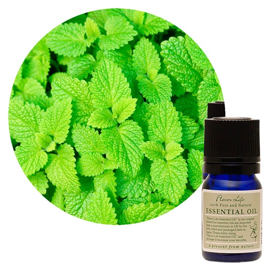 JAA SHOPのフレーバーライフ