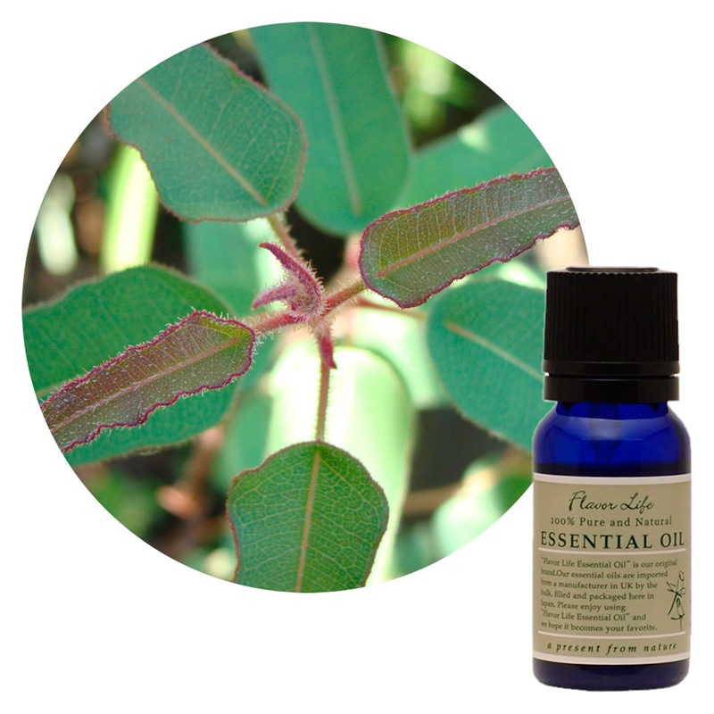 JAA SHOPのフレーバーライフ