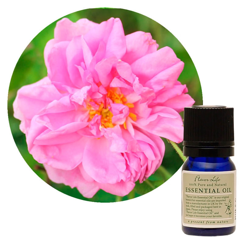 JAA SHOPのフレーバーライフ