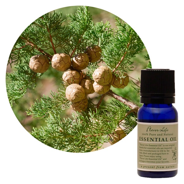 JAA SHOPのフレーバーライフ