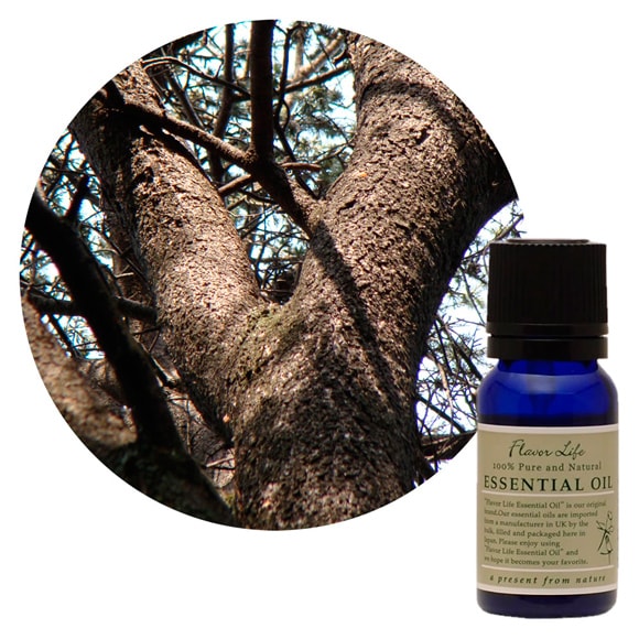 JAA SHOPのフレーバーライフ