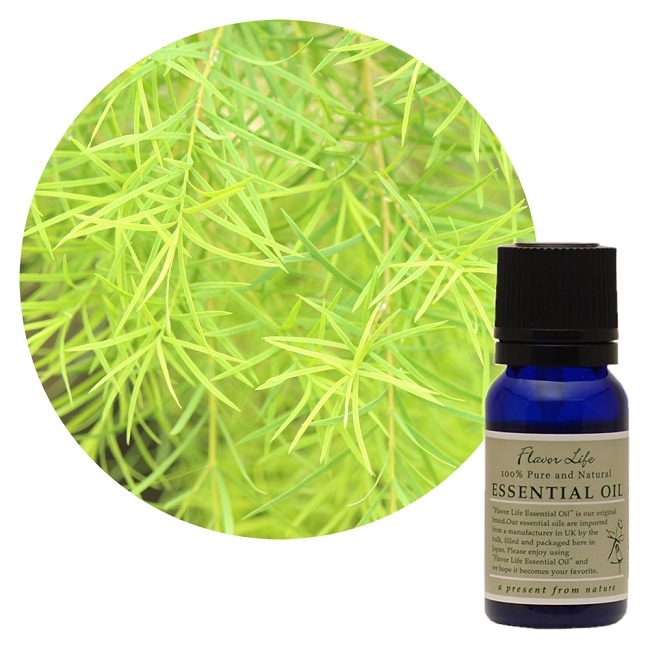 JAA SHOPのフレーバーライフ