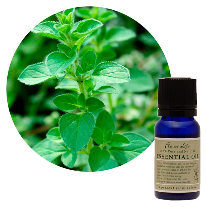 JAA SHOPのフレーバーライフ