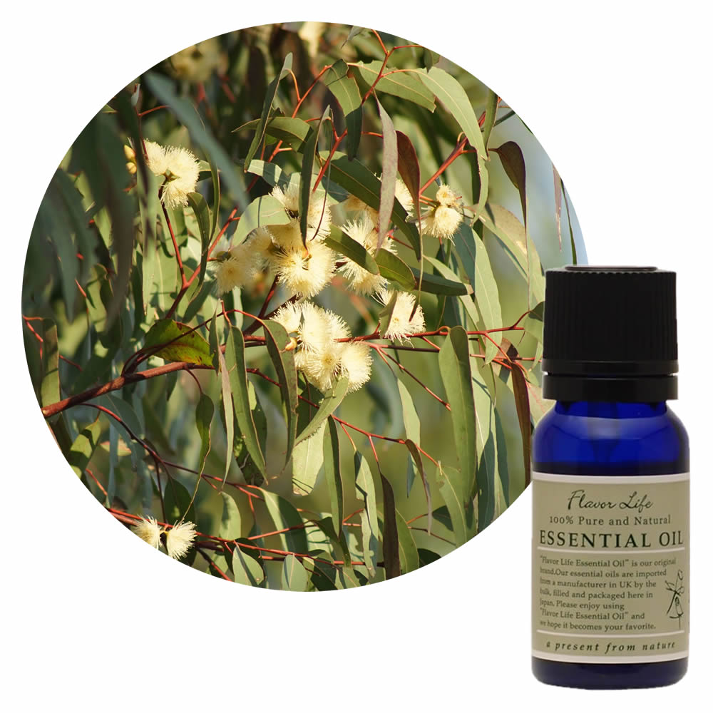 JAA SHOPのフレーバーライフ