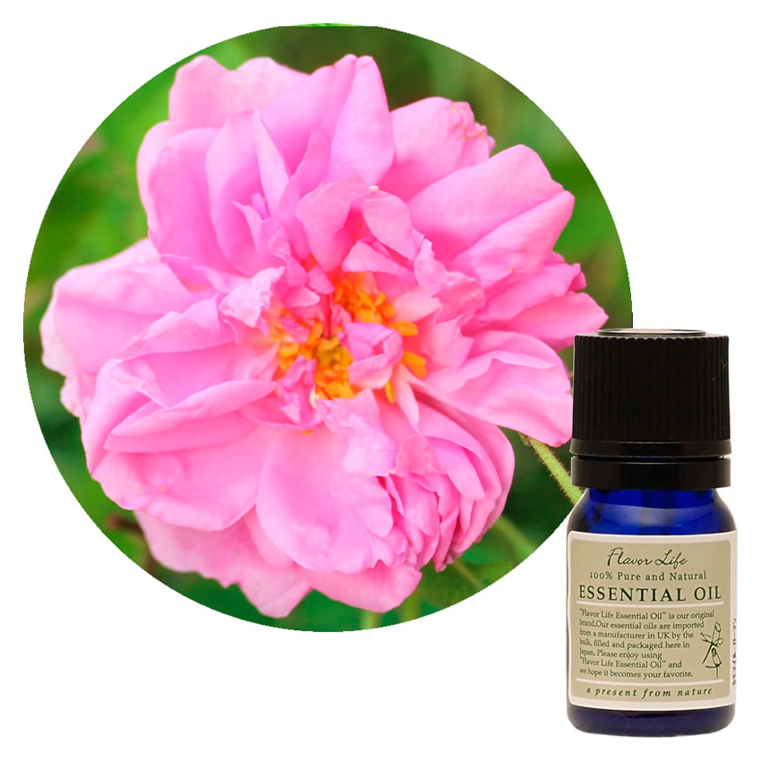 JAA SHOPのフレーバーライフ