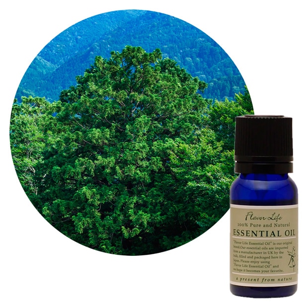 JAA SHOPのフレーバーライフ