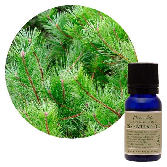 JAA SHOPのフレーバーライフ