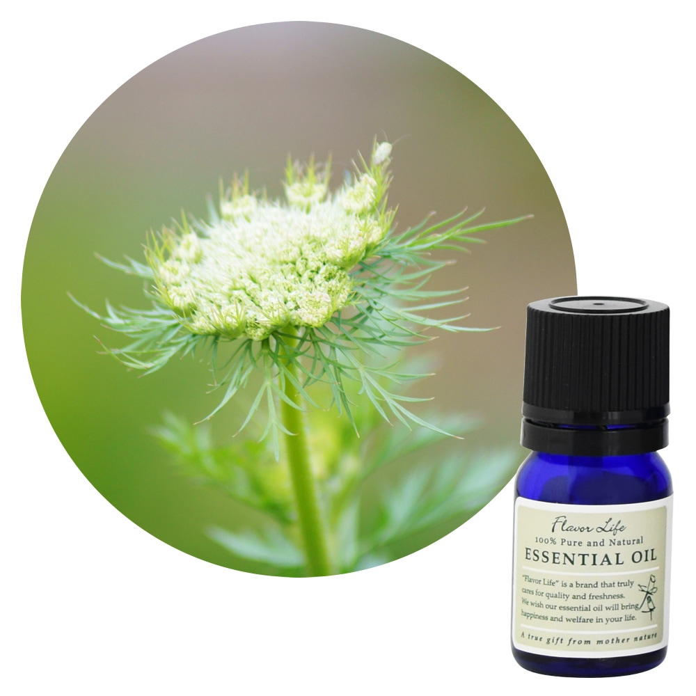 JAA SHOPのフレーバーライフ