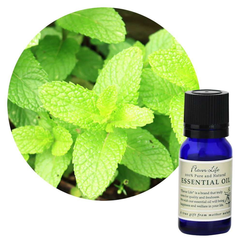 JAA SHOPのフレーバーライフ