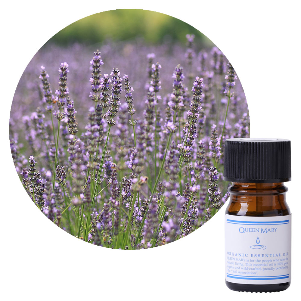 JAA SHOPのフレーバーライフ