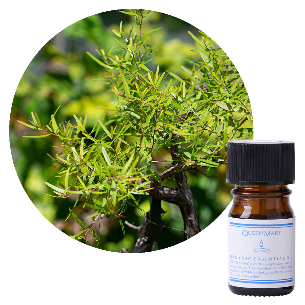 JAA SHOPのフレーバーライフ