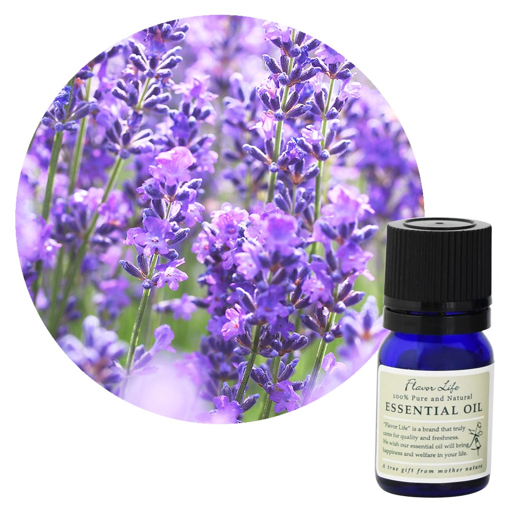 JAA SHOPのOutlet／アウトレット