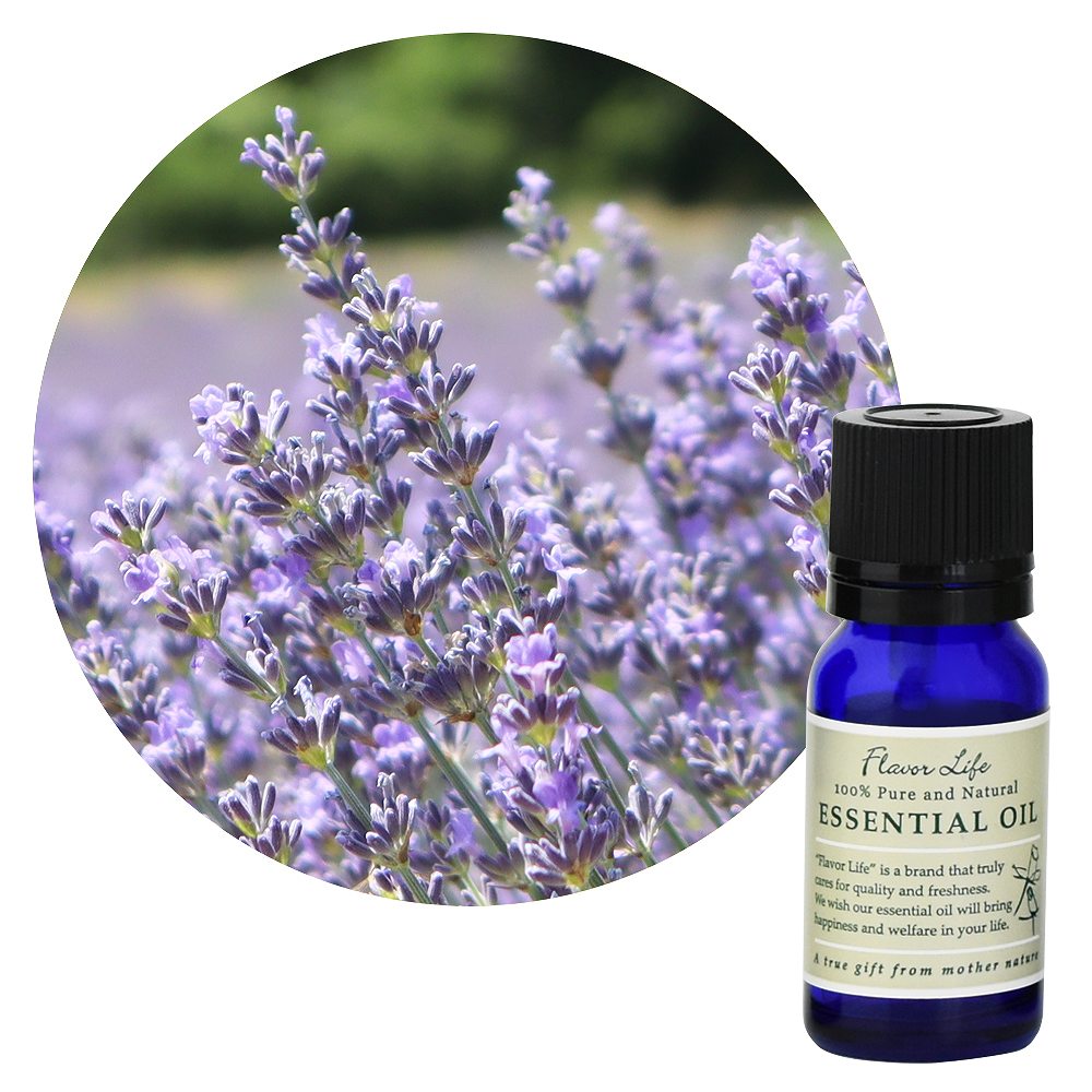 JAA SHOPのOutlet／アウトレット