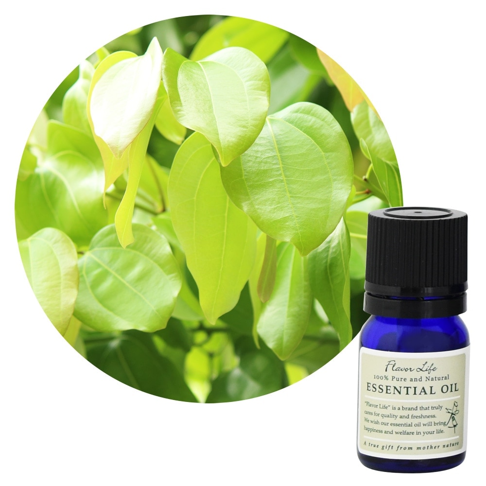 JAA SHOPのフレーバーライフ