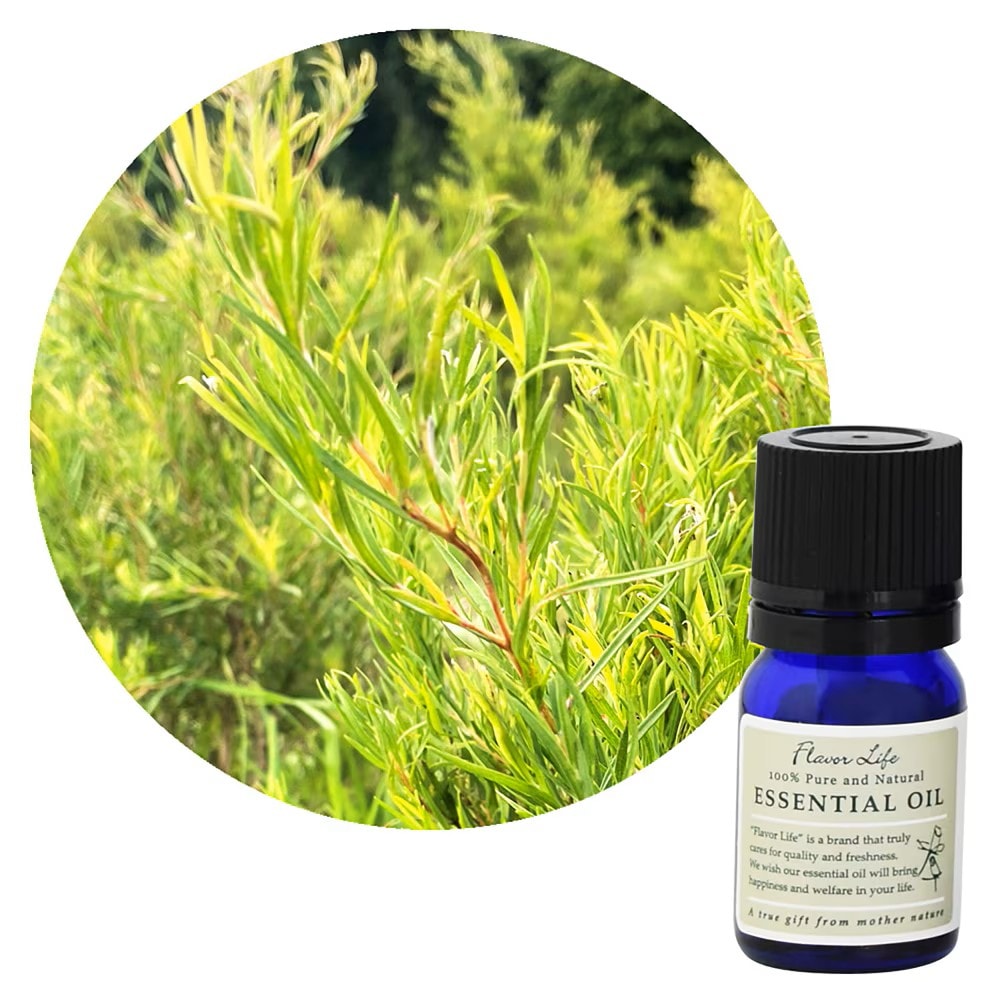 JAA SHOPの<$category.recommend_item[i].base_category.name}>