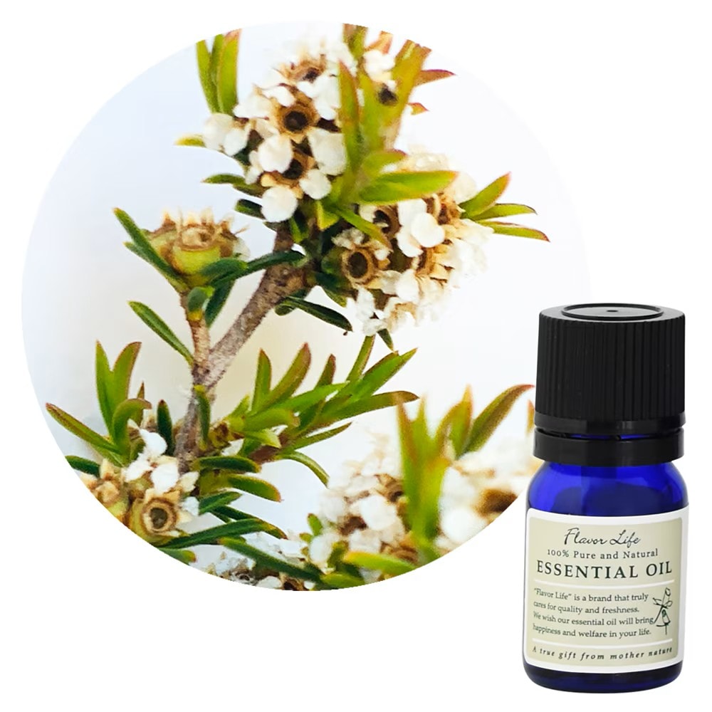 JAA SHOPの<$category.recommend_item[i].base_category.name}>