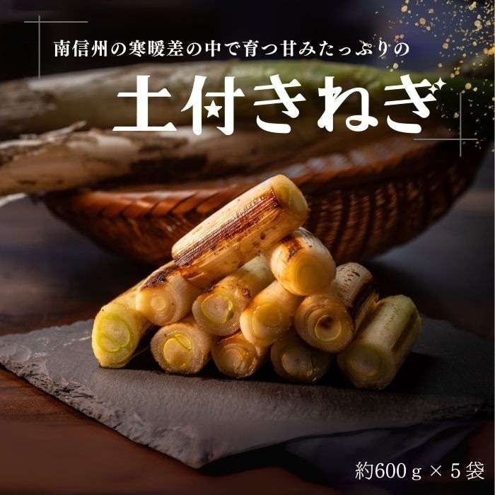 S702　土付きねぎ 約3kg(600g×5袋)　1月中旬～発送