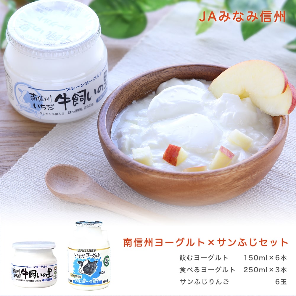 南信州ヨーグルト×サンふじりんごセット（冷蔵）　S809　11月下旬～12月中旬発送