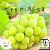 S002 ぶどう シャインマスカット約2kg(3~5房)【冷蔵】9月中旬~10月上旬発送