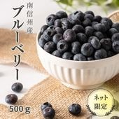 S010 ブルーベリー 500g(100g×5パック) 3L(大粒)【冷蔵】 6月下旬~発送
