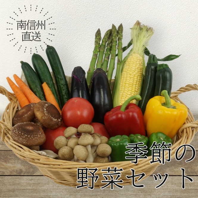 S703b　南信州直送　季節の野菜セット(冷蔵)　8月中旬～発送