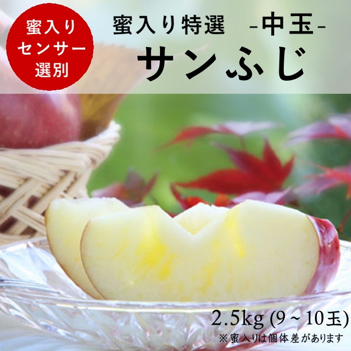 蜜入り特選【中玉】りんご サンふじ 約2.5kg(9~10玉) S338 11月下旬~12月中旬発送