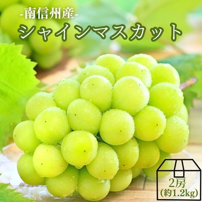 S006 ぶどう　シャインマスカット約1.2kg(2房)【冷蔵】 9月中旬～10月上旬発送