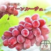 S020 ぶどう　クイーンルージュR　約１ｋｇ(２房)【冷蔵】　9月下旬～10月中旬発送