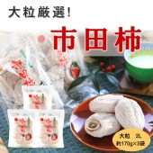 いつもの市田柿　510ｇ(5～6粒×3パック）　S410　12月中旬～順次発送予定