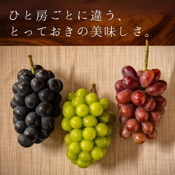 S022 ぶどう　南信州プレミアムぶどう3種セット　約2kg(3房)【冷蔵】　7月下旬～発送