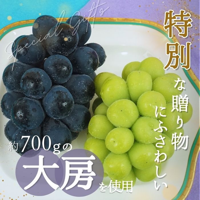 S022 ぶどう　南信州プレミアムぶどう3種セット　約2kg(3房)【冷蔵】　7月下旬～発送